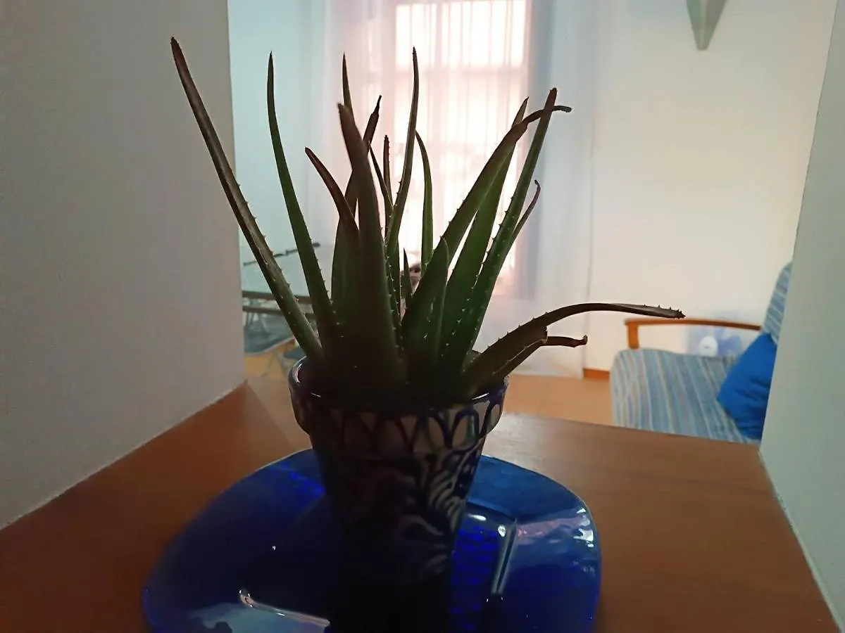 Corrala De San Anton. Arrayanes Apartman Granada Spanyolország